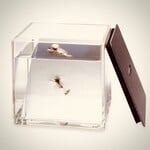 C&F DESIGN FISH EYE