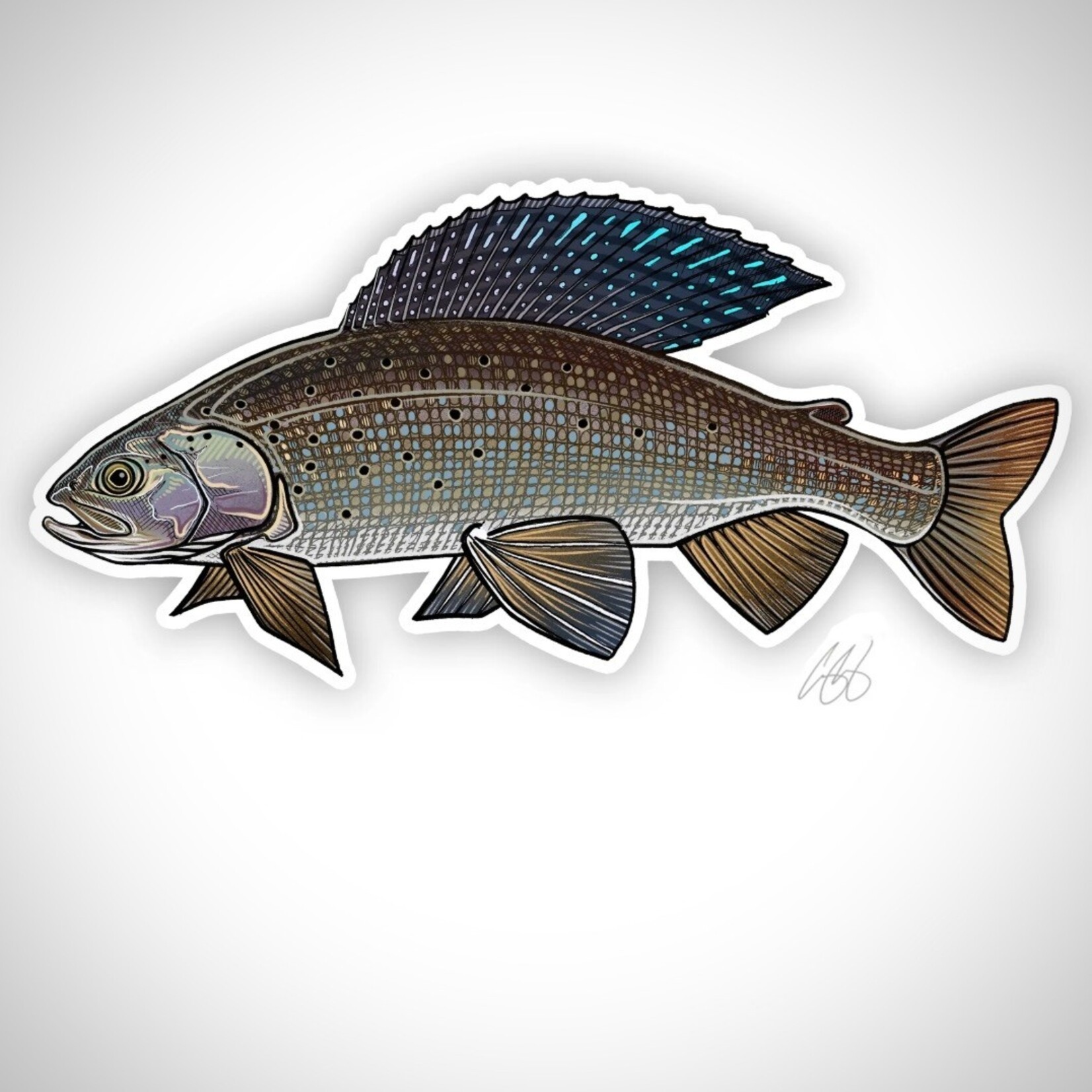 CASEY UNDERWOOD STICKER - GRAYLING