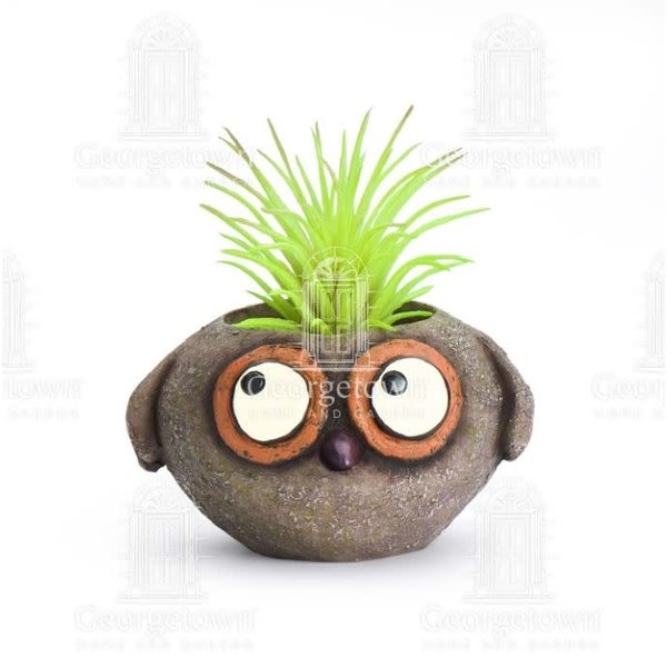 baby brown owl Planter