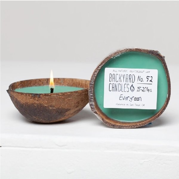 Coconut Half Shell Candle Evergreen