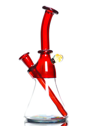 Brian Jacobson Pomegranate fillacello jammer