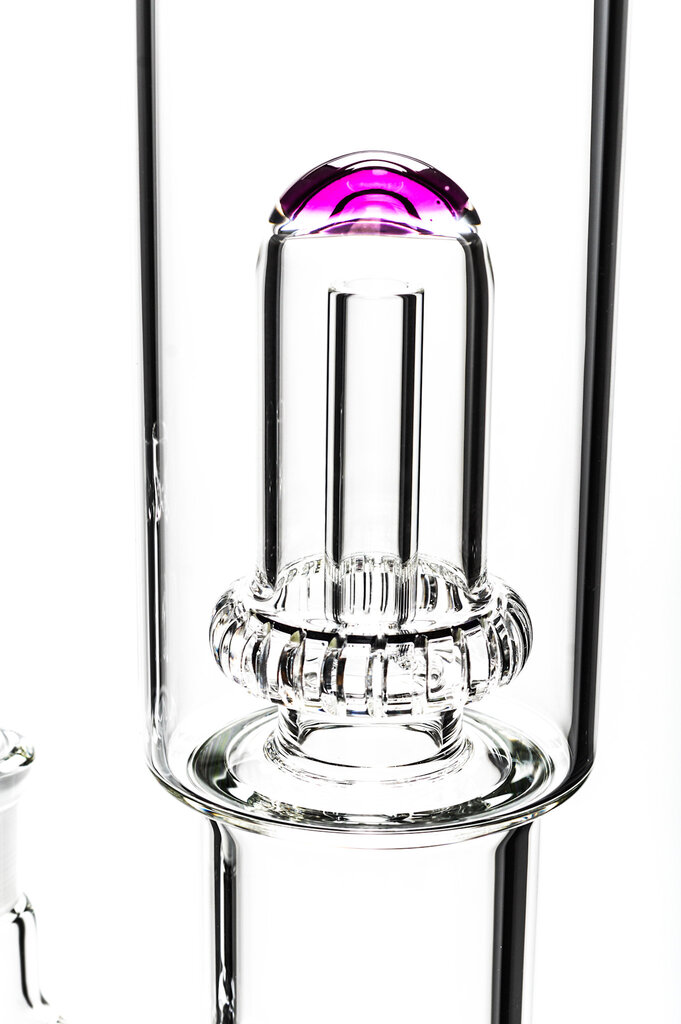 Toro Toro Full-Size Circ to Circ with Color Accents - 5