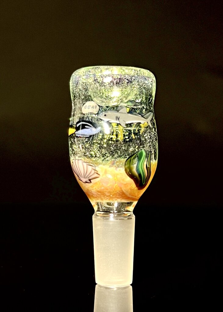 Dave Strobel Strobel 14 slide Sea Theme 1