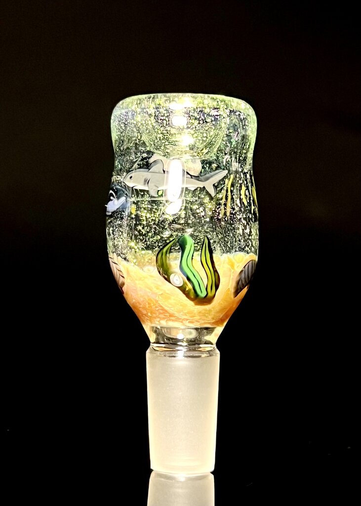 Dave Strobel Strobel 14 slide Sea Theme 1