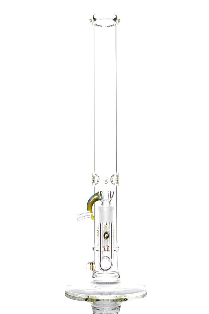 Sovereignty 50x5 - MA North Star Yellow x Europa Star- Inverted 4 Millie x1