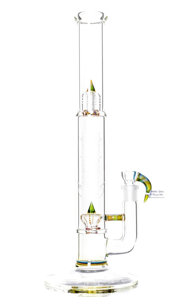 Sovereignty Bishop - PA NS Yellow x Europa Star - Imperial