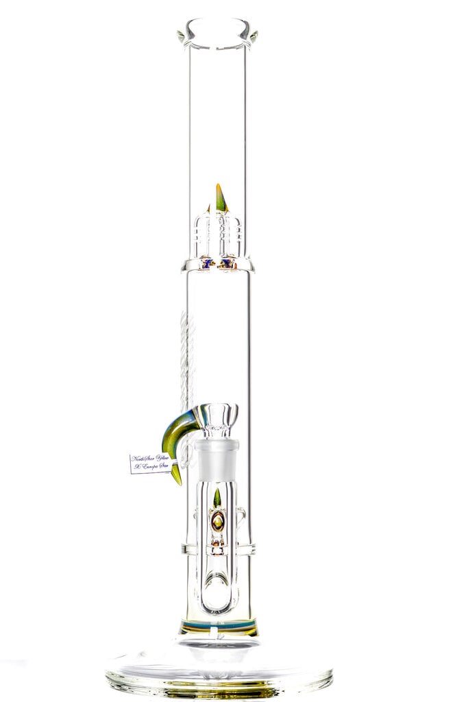 Sovereignty Bishop - PA NS Yellow x Europa Star - Imperial