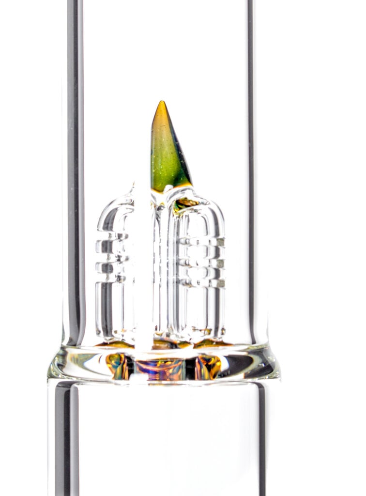 Sovereignty Bishop - PA NS Yellow x Europa Star - Imperial