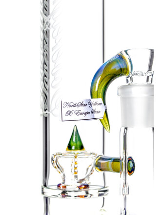 Sovereignty Bishop - PA NS Yellow x Europa Star - Imperial