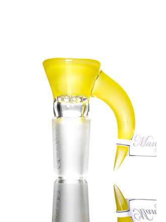 Sovereignty SFA - FA Mango - Full Accent Slide 3