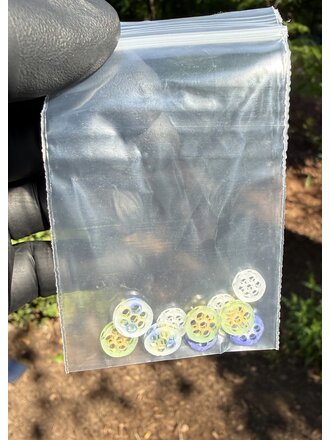 Blazing Blue Glass Honeycomb Screen - 10 Pack