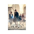 Fantastic Beasts "The Search" 1,000 Piece Puzzle