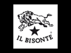 IL BISONTE