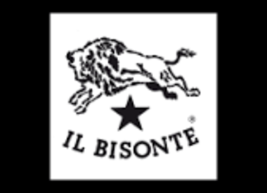 IL BISONTE