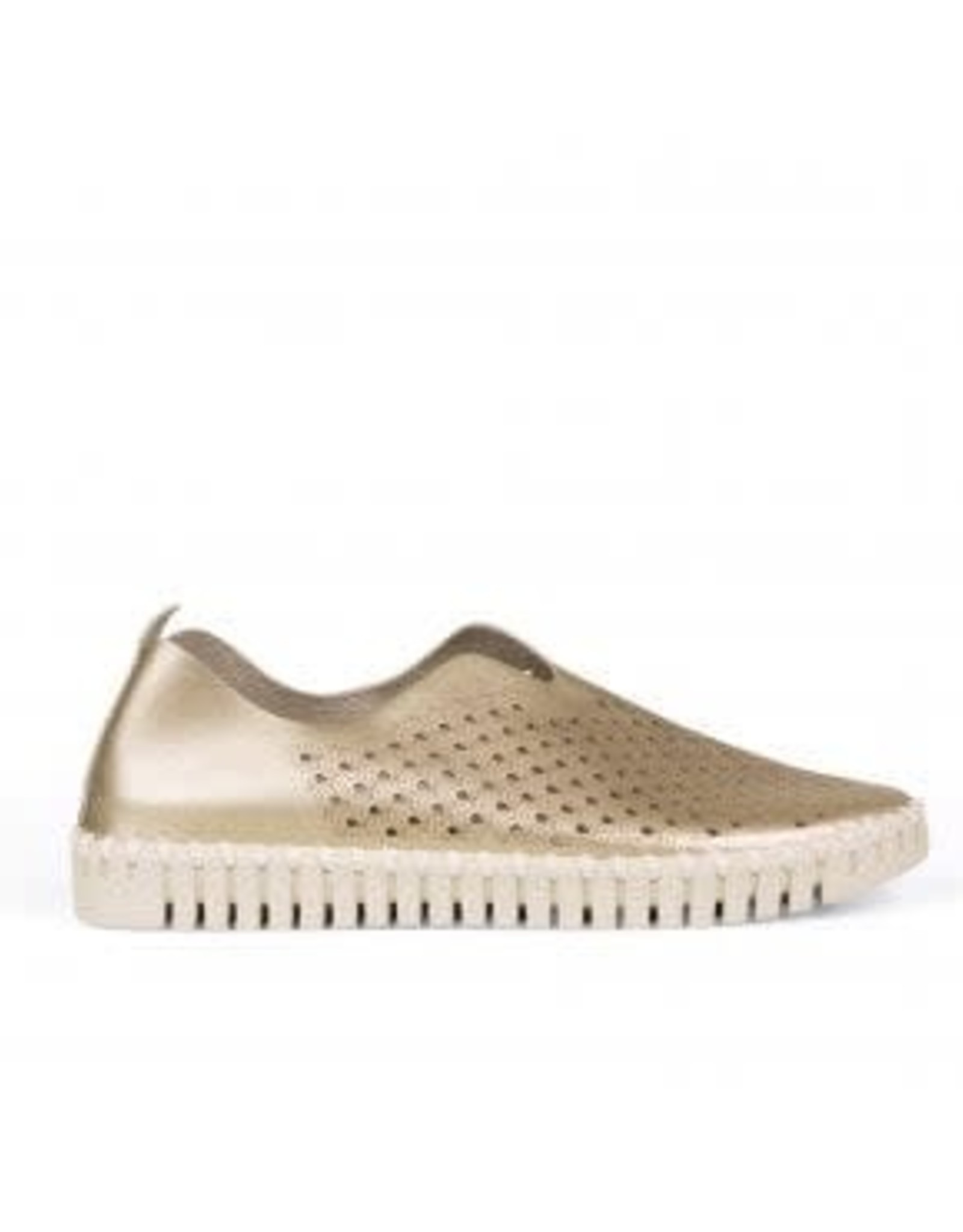 shoes ilse jacobsen