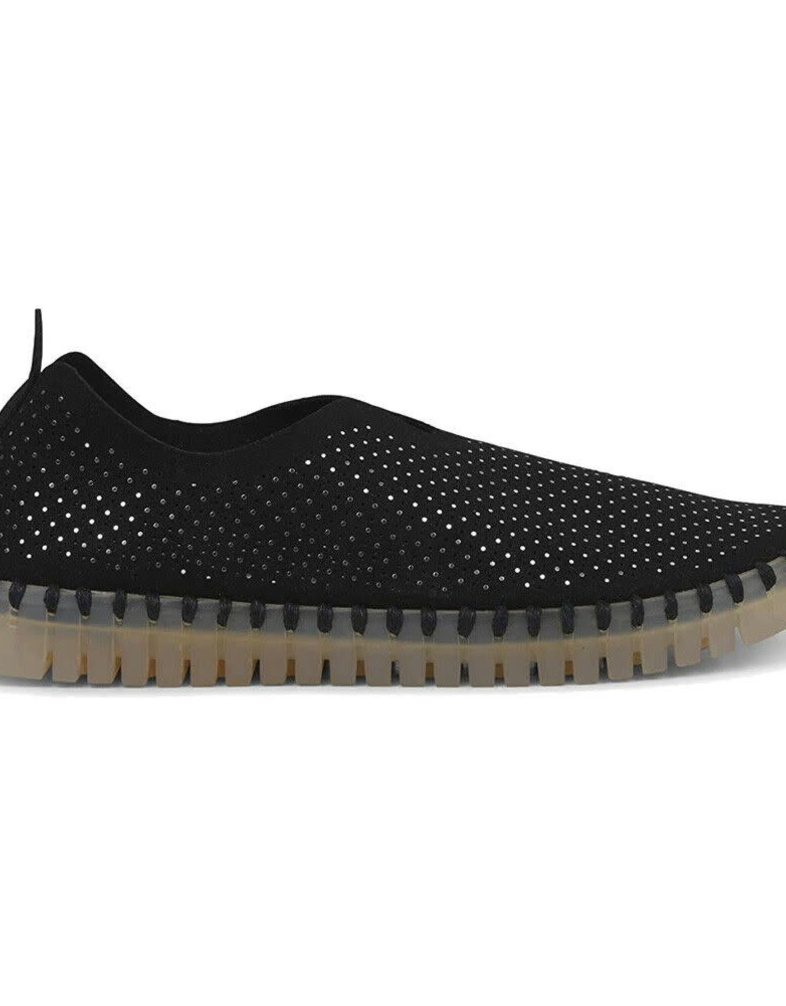 ilse jacobsen tulip black