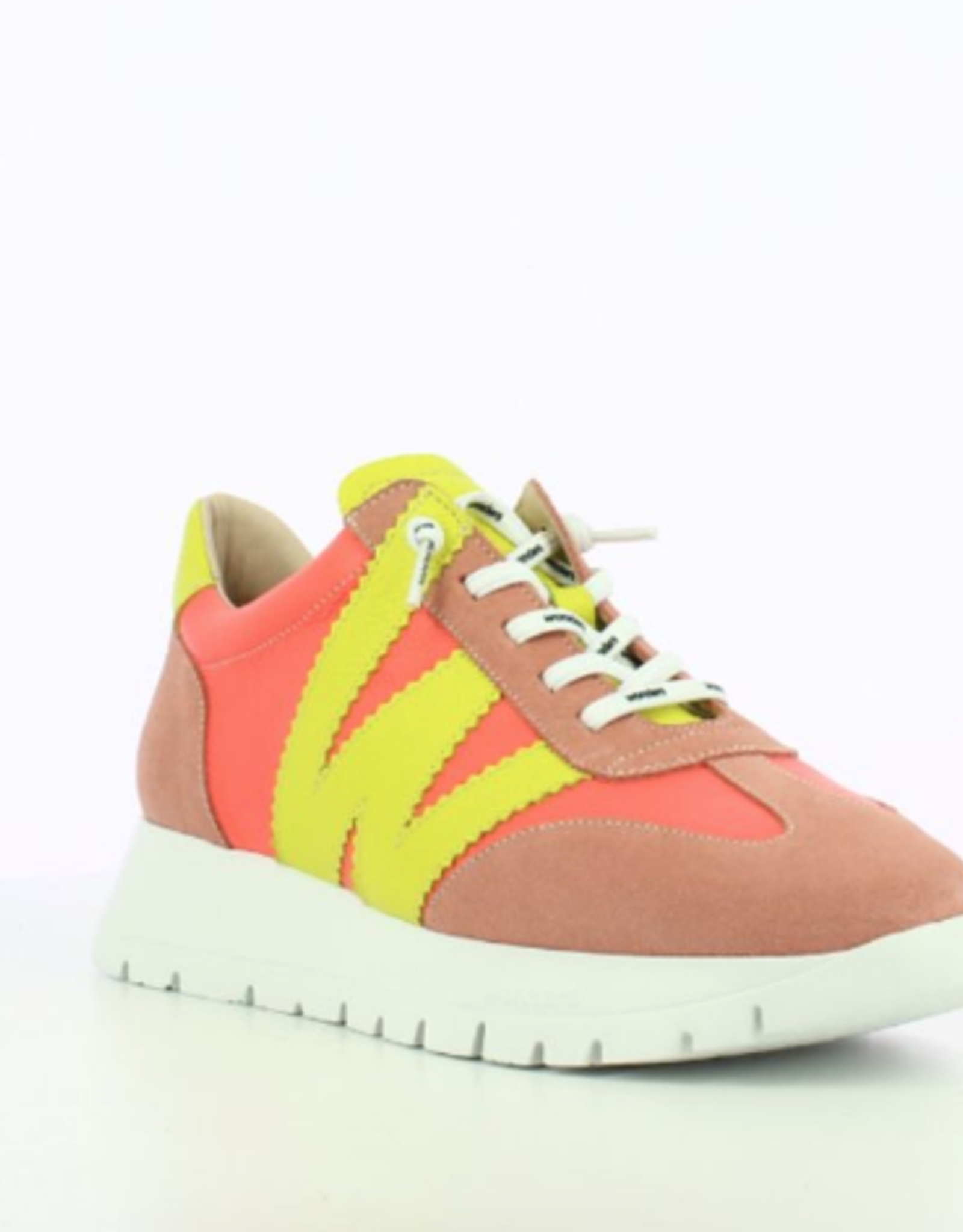 WONDERS RACER SNEAKER