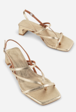 INTENTIONALLY BLANK PUP STRAPPY HEEL