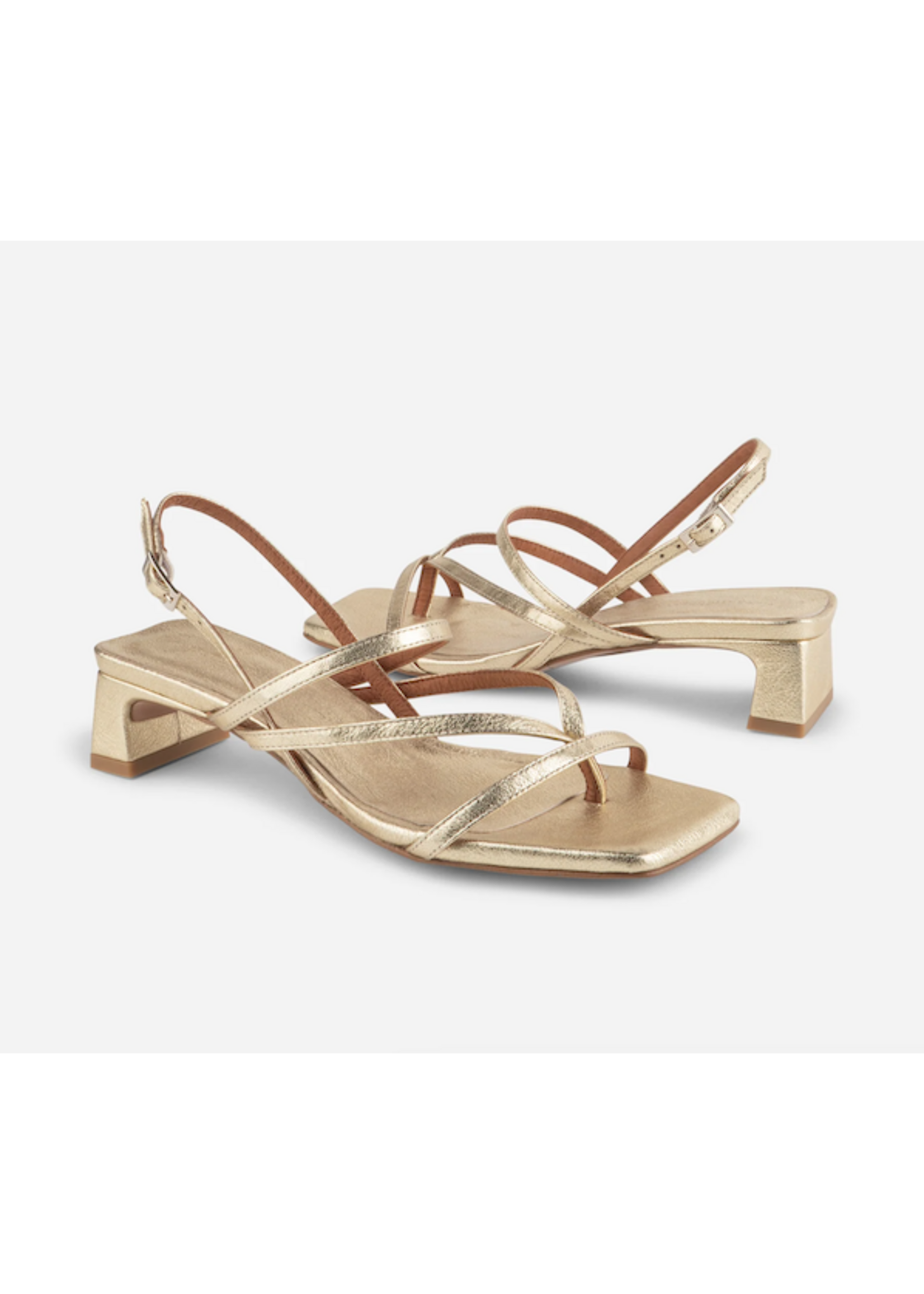 INTENTIONALLY BLANK PUP STRAPPY HEEL