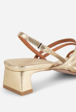 INTENTIONALLY BLANK PUP STRAPPY HEEL