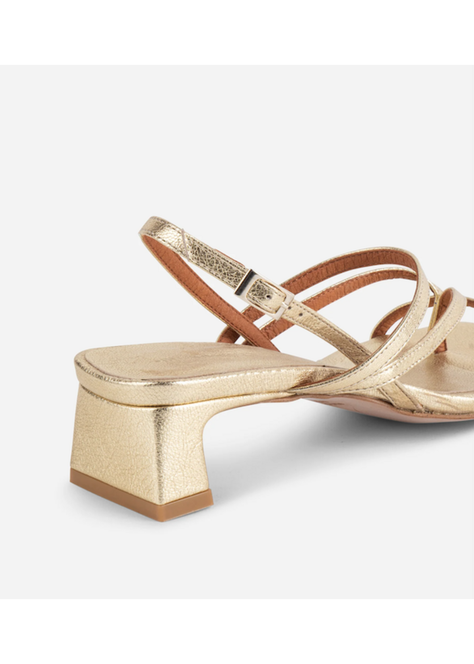 INTENTIONALLY BLANK PUP STRAPPY HEEL