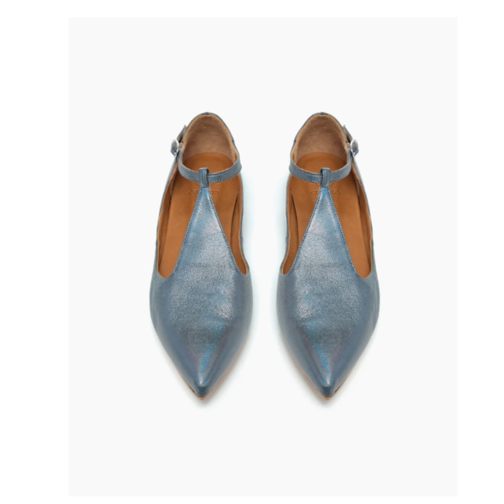 COCLICO DEVANT T-STRAP