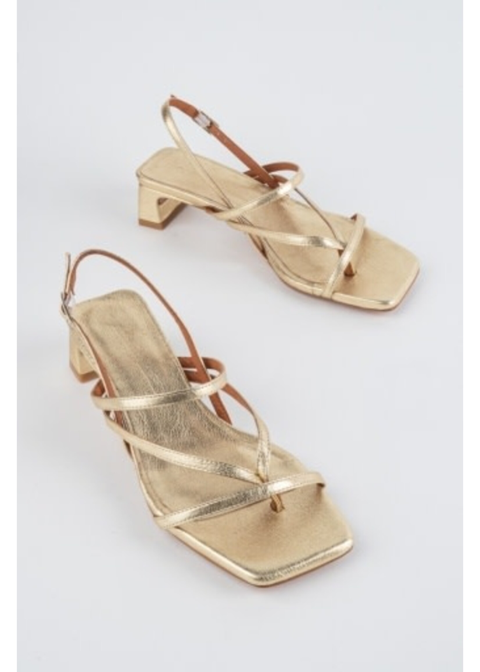 INTENTIONALLY BLANK PUP STRAPPY HEEL