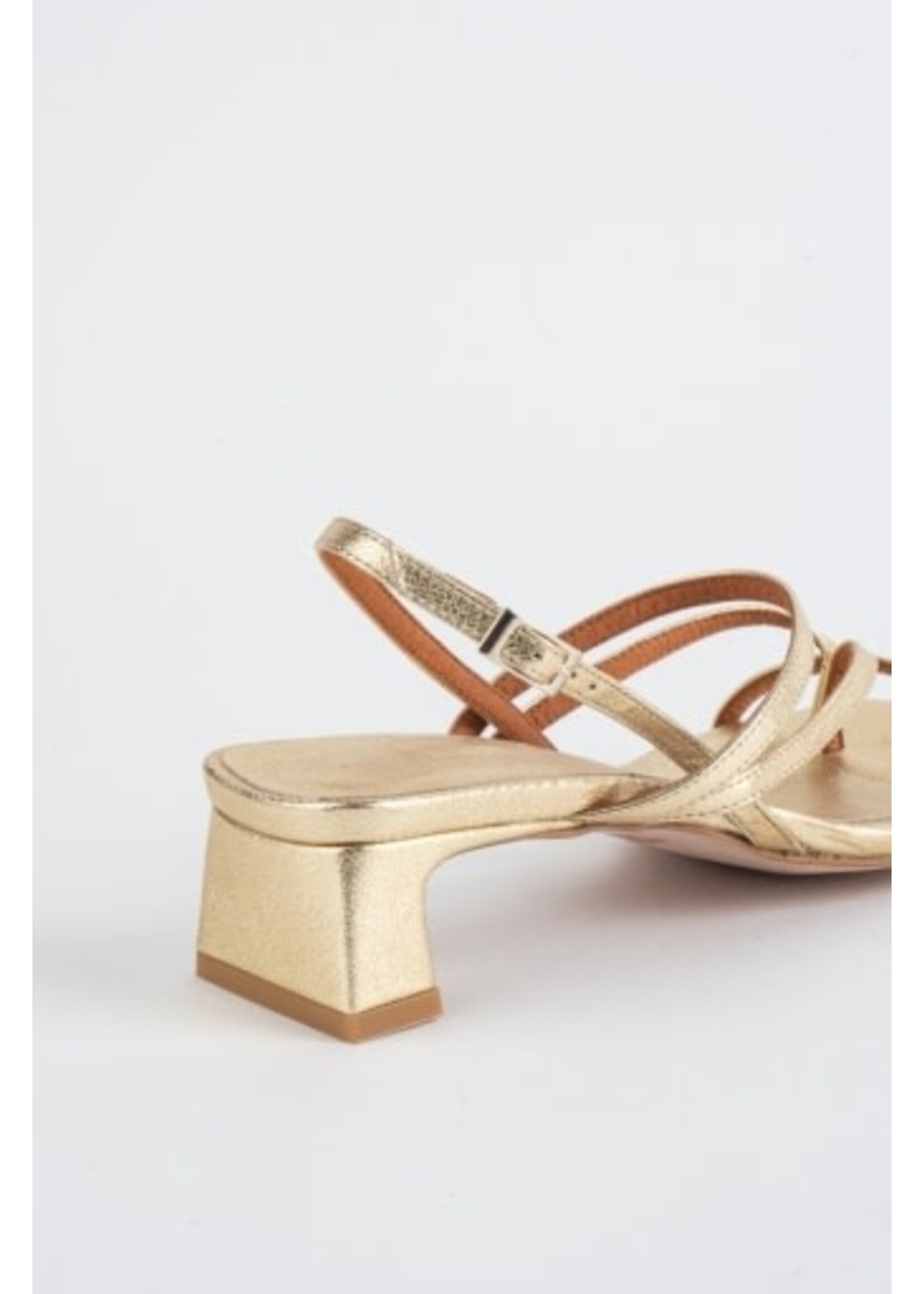INTENTIONALLY BLANK PUP STRAPPY HEEL