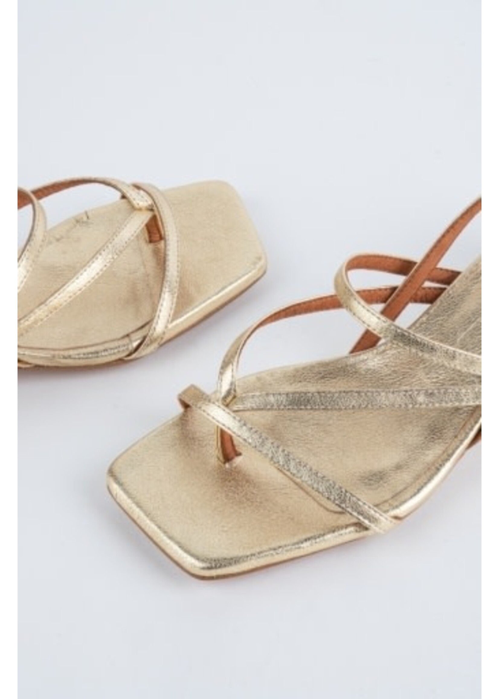 INTENTIONALLY BLANK PUP STRAPPY HEEL