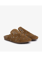PEDRO GARCIA BRAIDY MULE