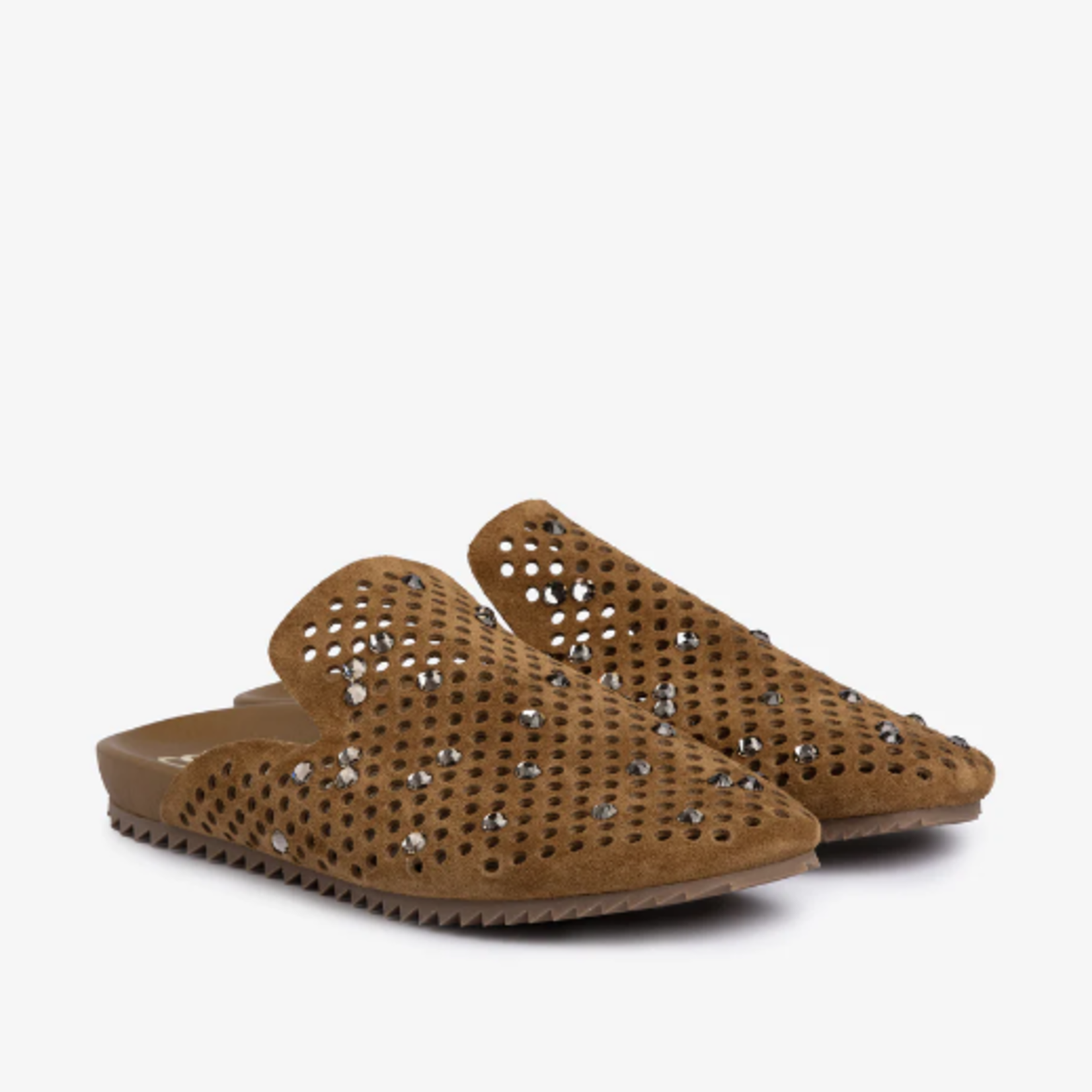 PEDRO GARCIA BRAIDY MULE