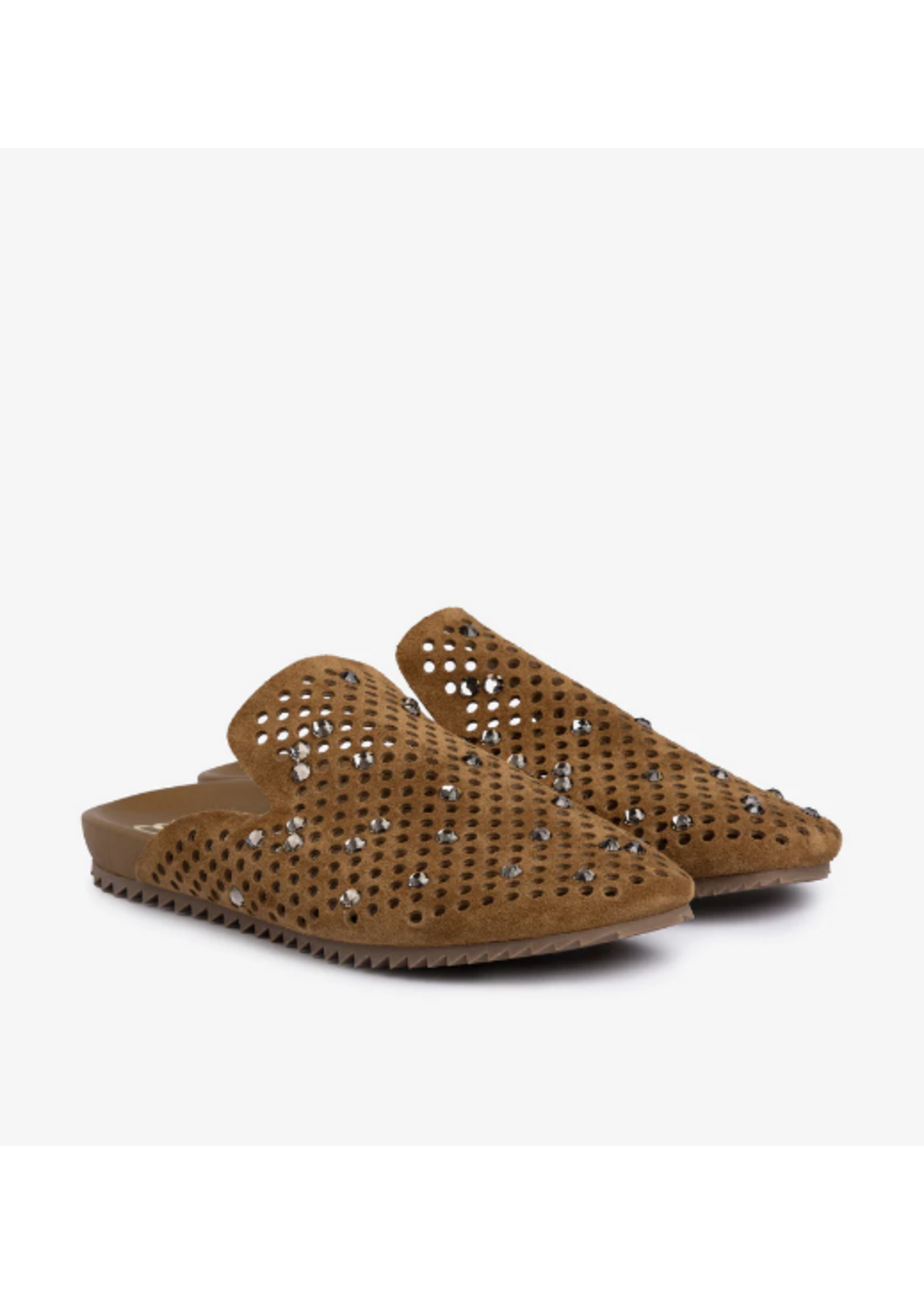 PEDRO GARCIA BRAIDY MULE