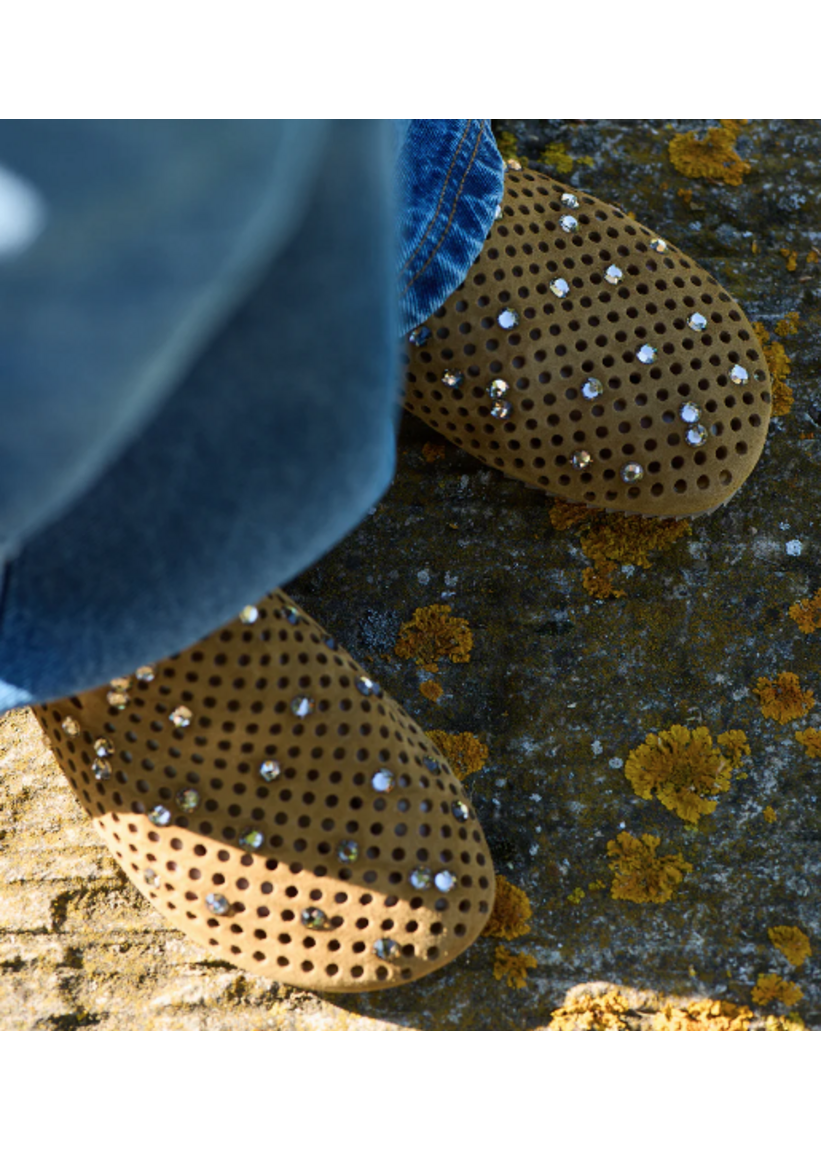 PEDRO GARCIA BRAIDY MULE