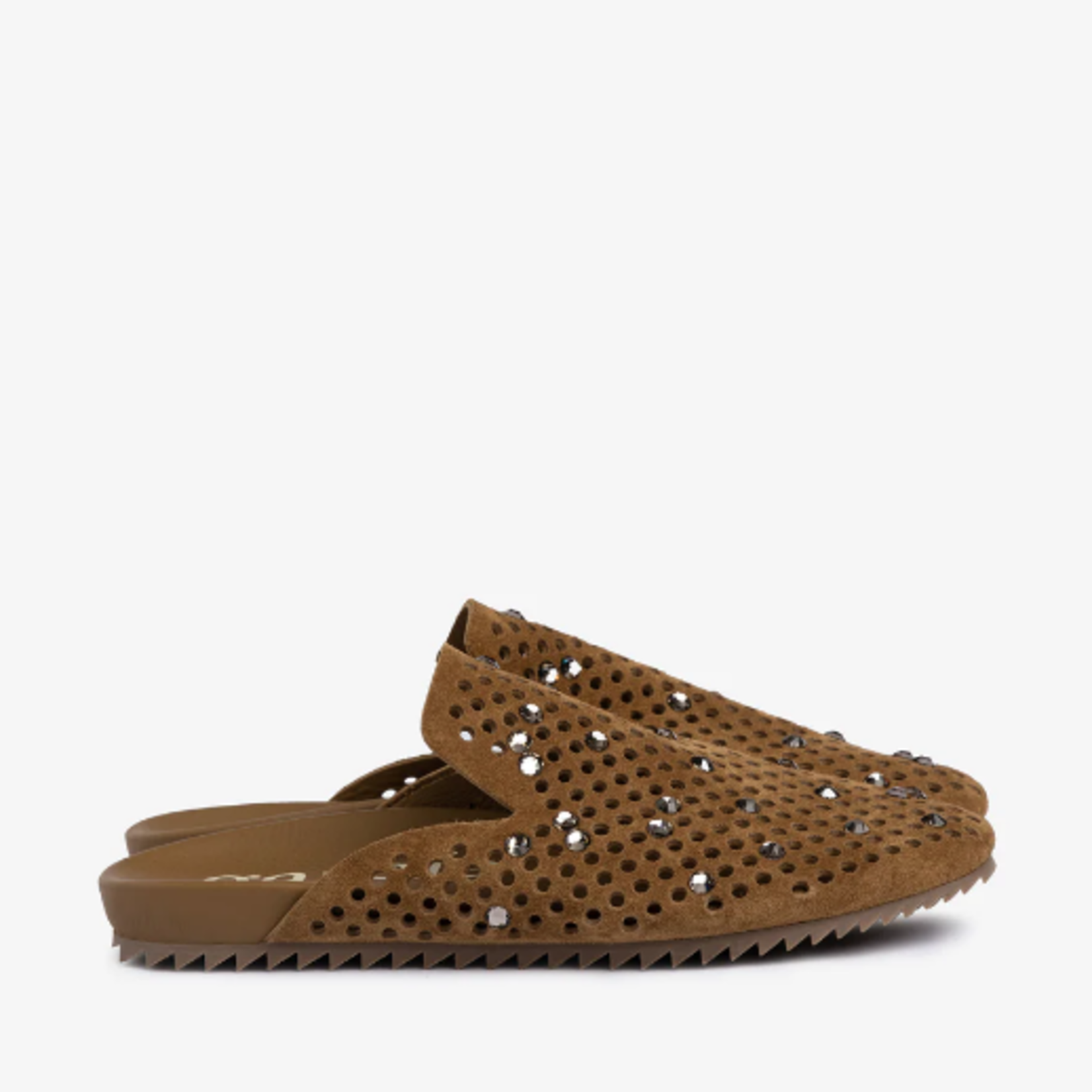 PEDRO GARCIA BRAIDY MULE