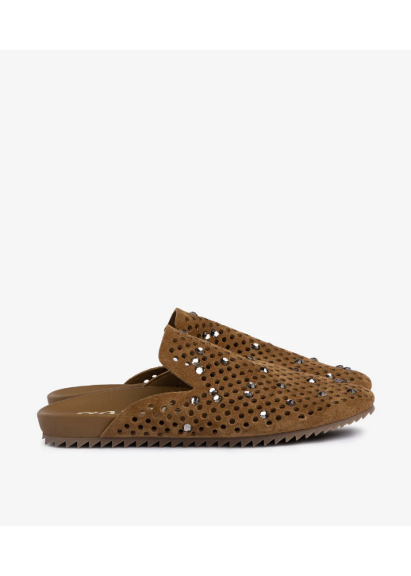 PEDRO GARCIA BRAIDY MULE