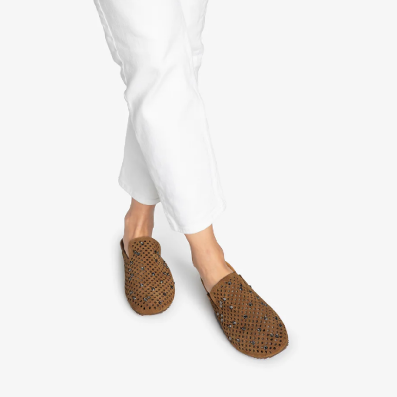 PEDRO GARCIA BRAIDY MULE