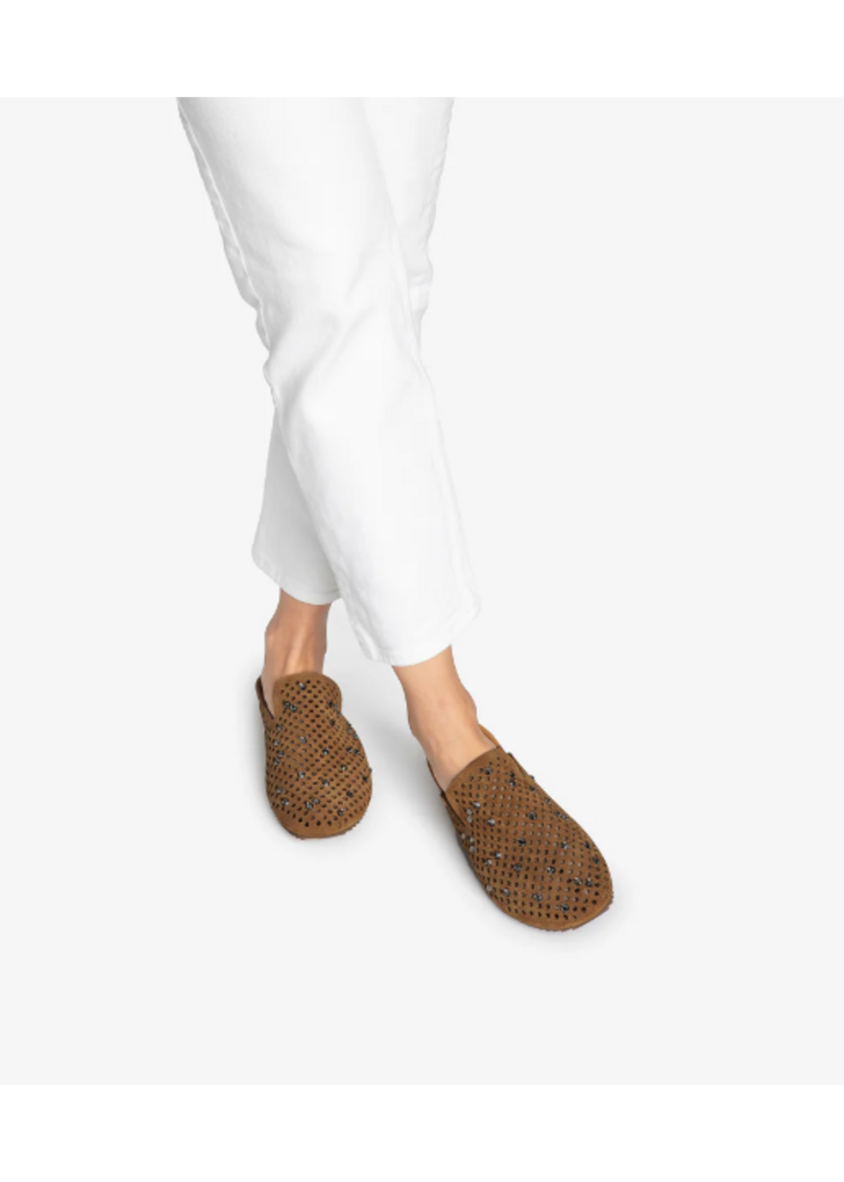 PEDRO GARCIA BRAIDY MULE