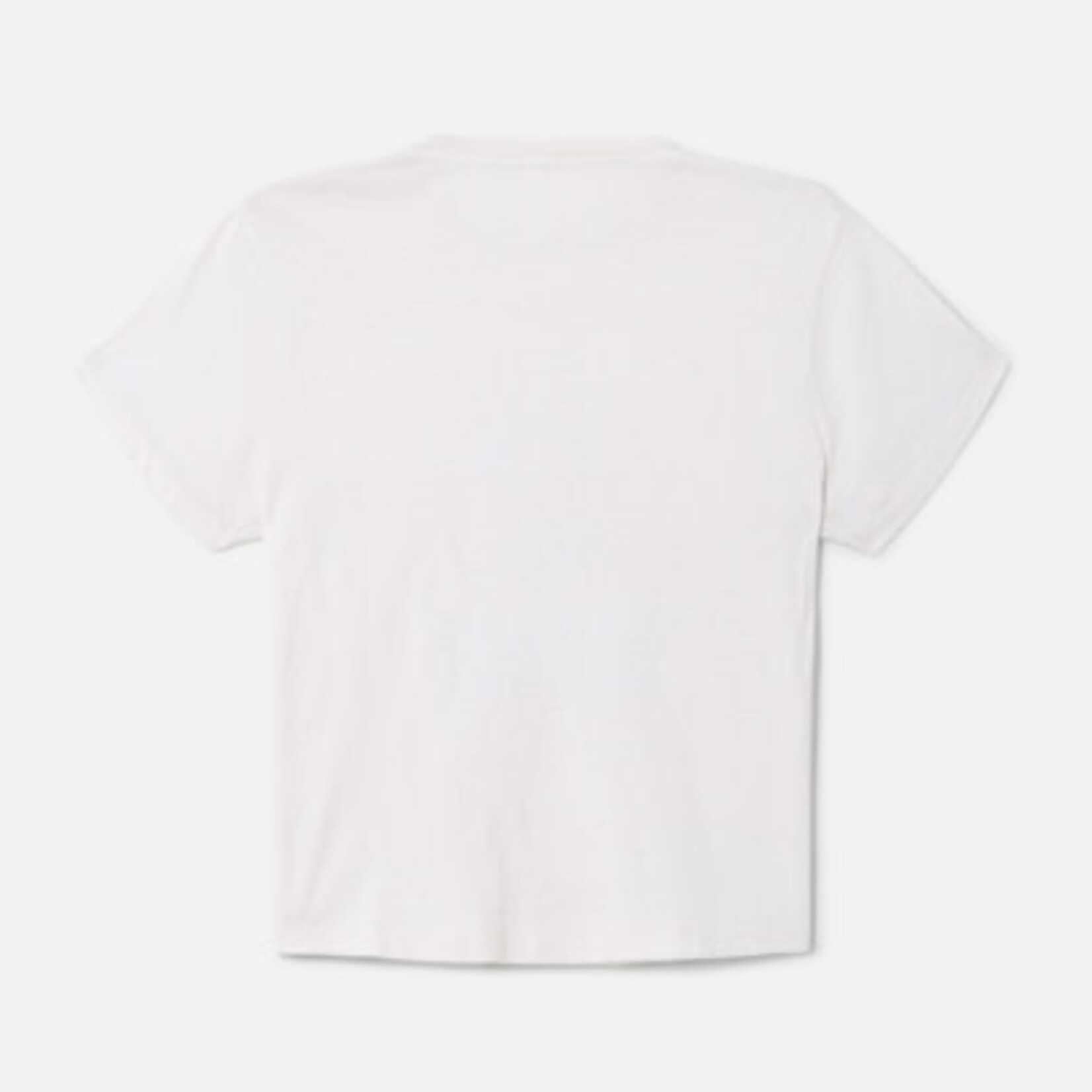 RE/DONE 1950S BOXY TEE FLORALS