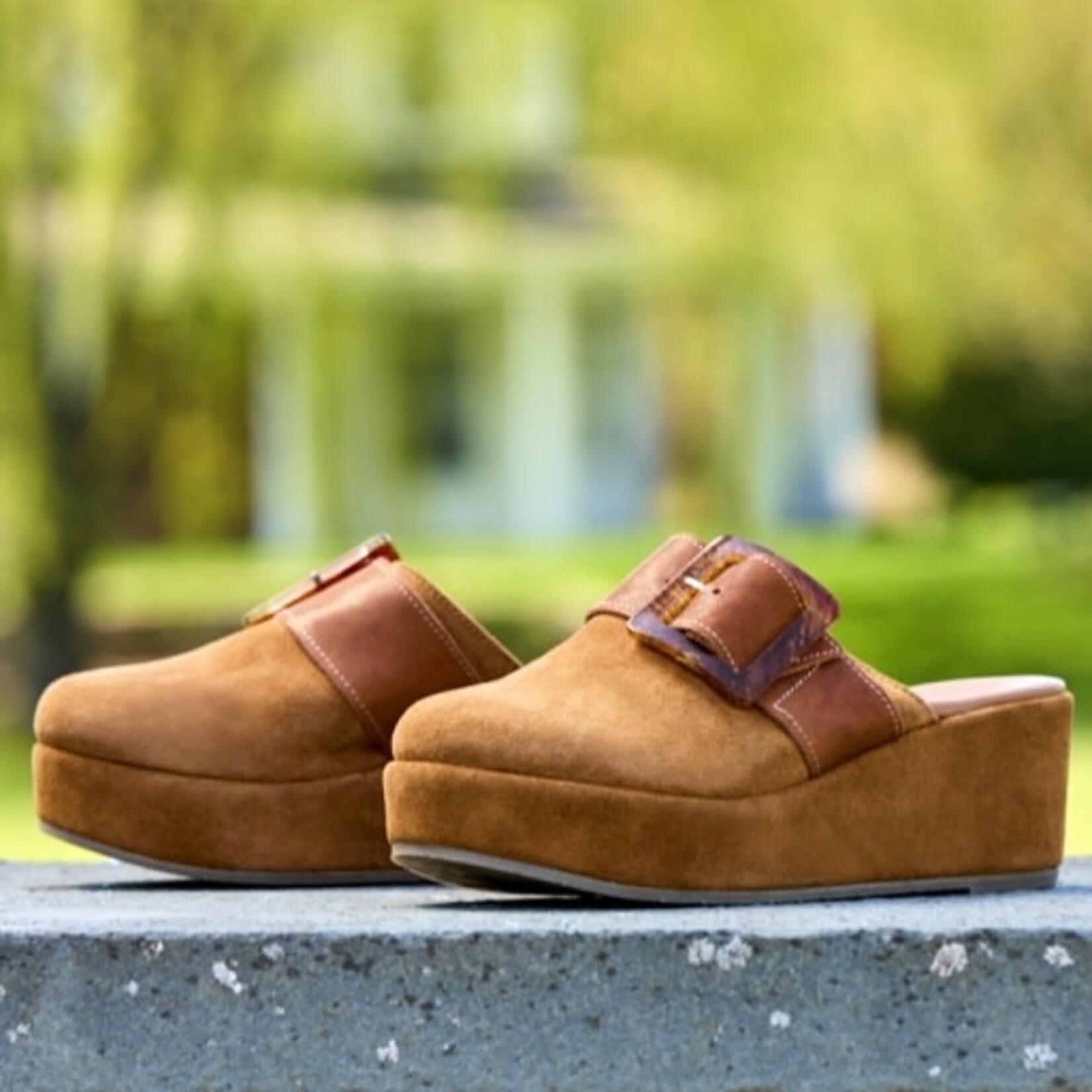 CORDANI CAMRYN-B CLOG