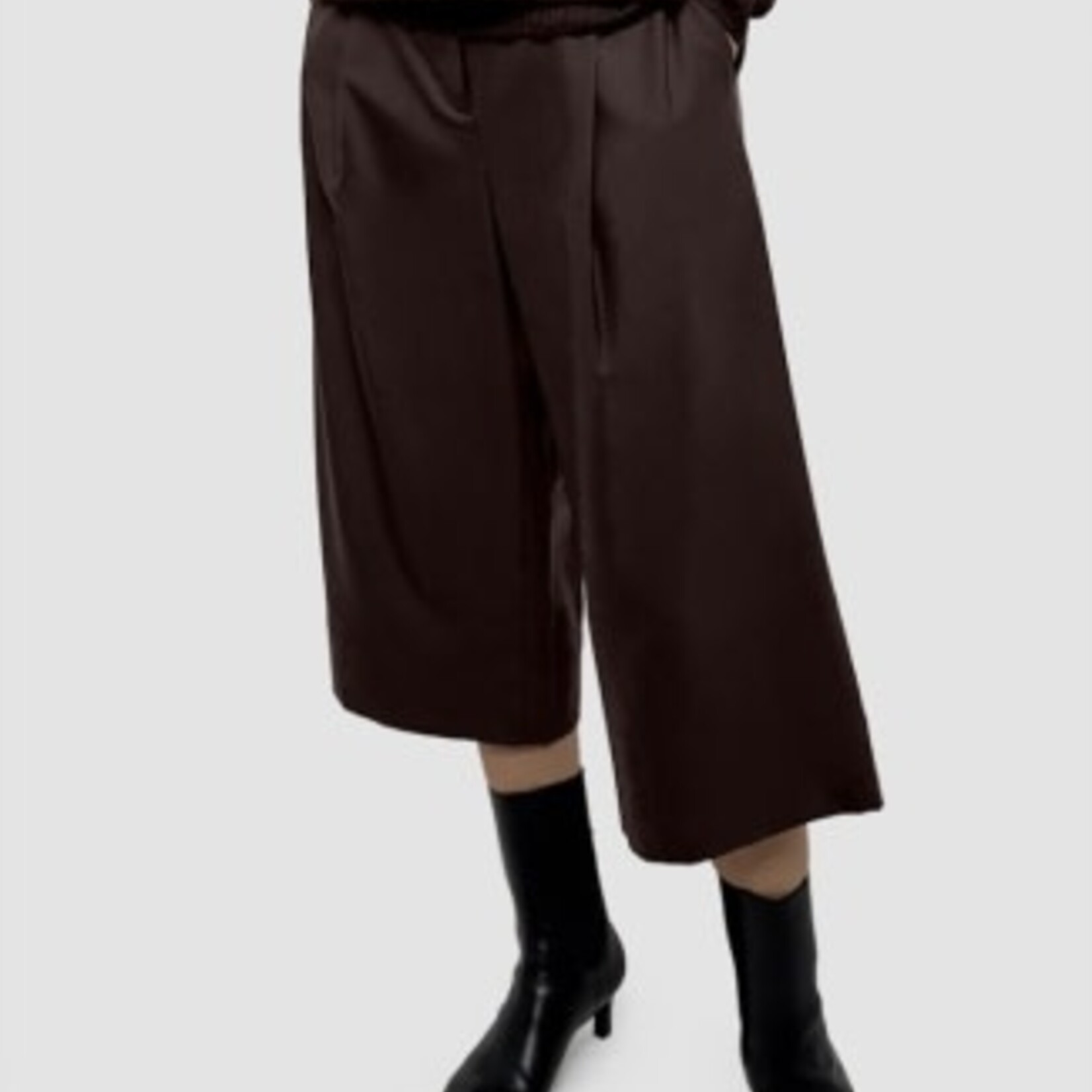 EILEEN FISHER SEASONLESS WOOL PLEATED CULOTTE PANT