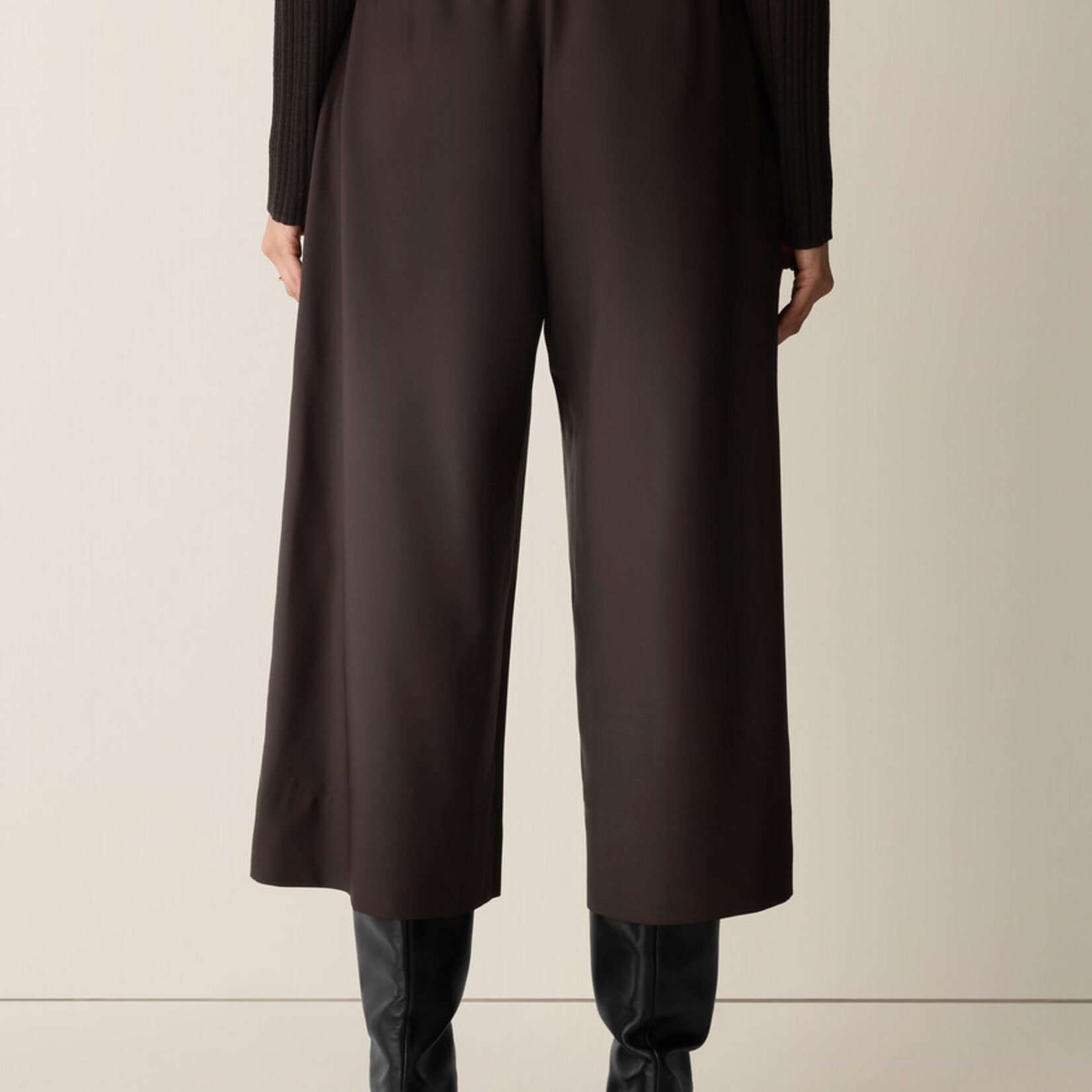 EILEEN FISHER SEASONLESS WOOL PLEATED CULOTTE PANT