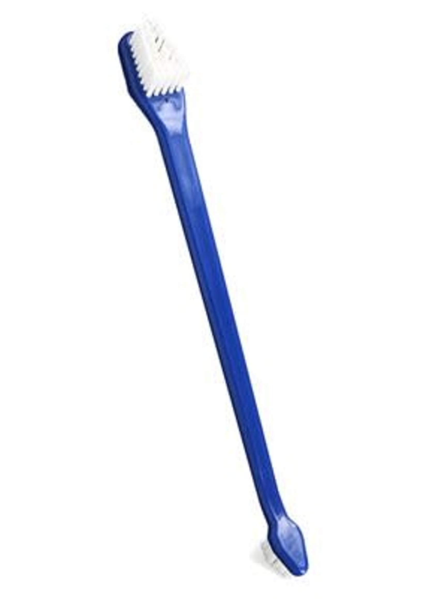 Bluestem™ Oral Care Dental Toothbrushes 2pk