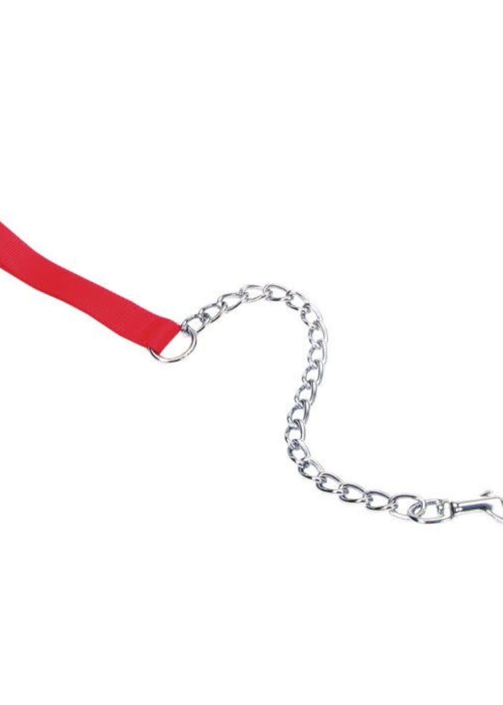 Titan® X-Heavy Chain Leash with Nylon Handle 2' x 4mm Red