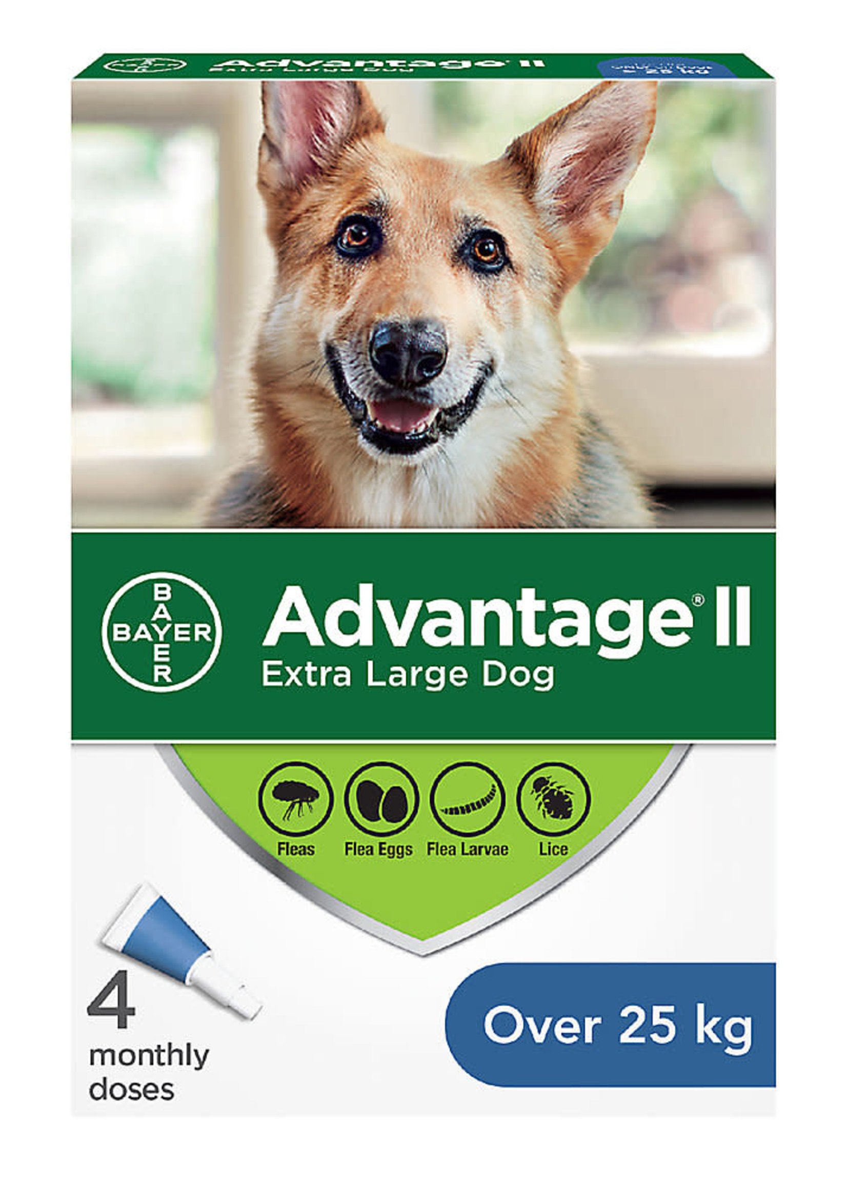 Bayer Advantage® II - Extra Large Dog