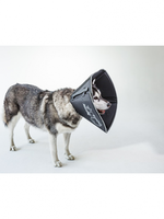 All Four Paws™ The Comfy Cone® XL Black