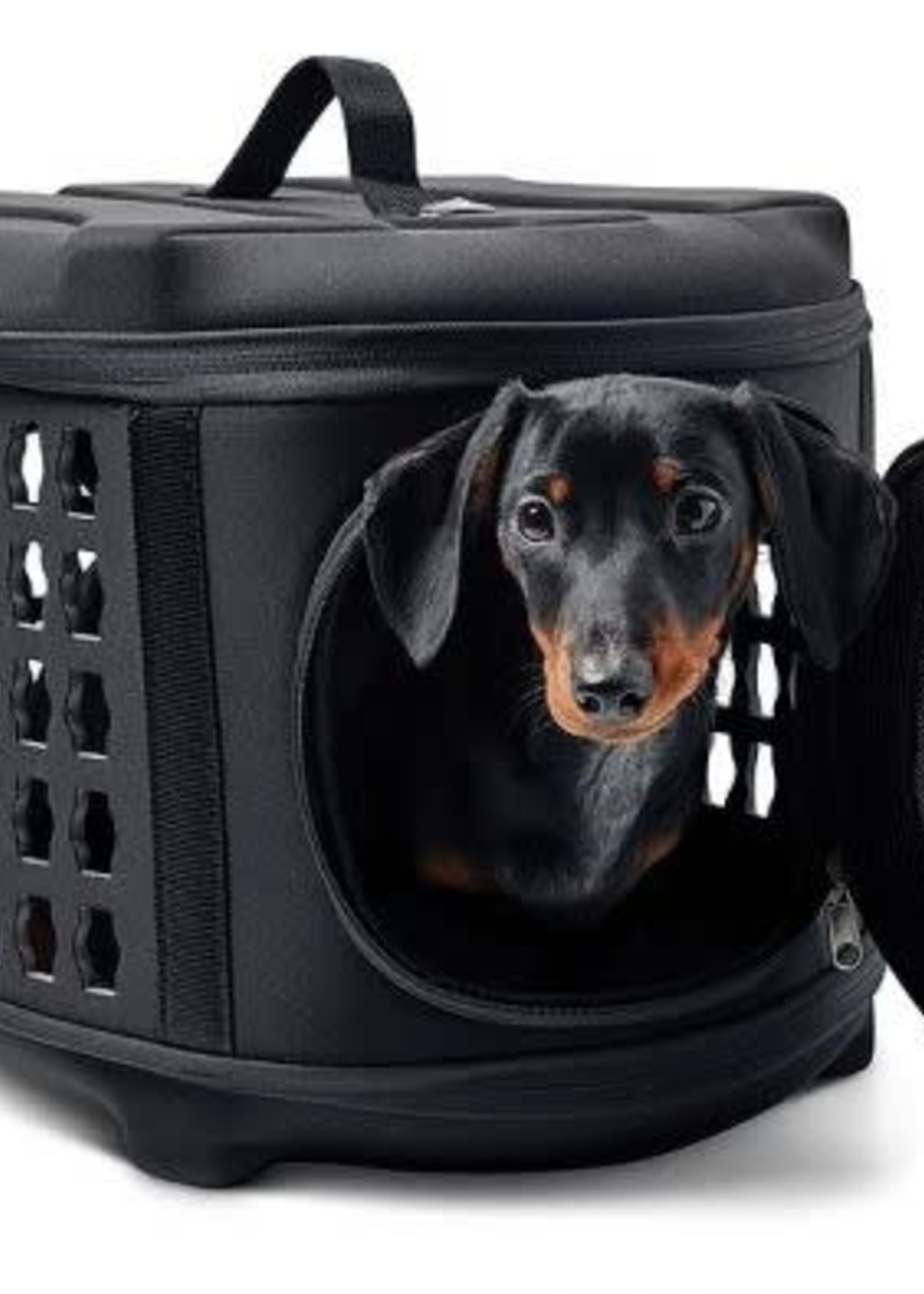 GF Pet® GF Pet Collapsible Pet Carrier