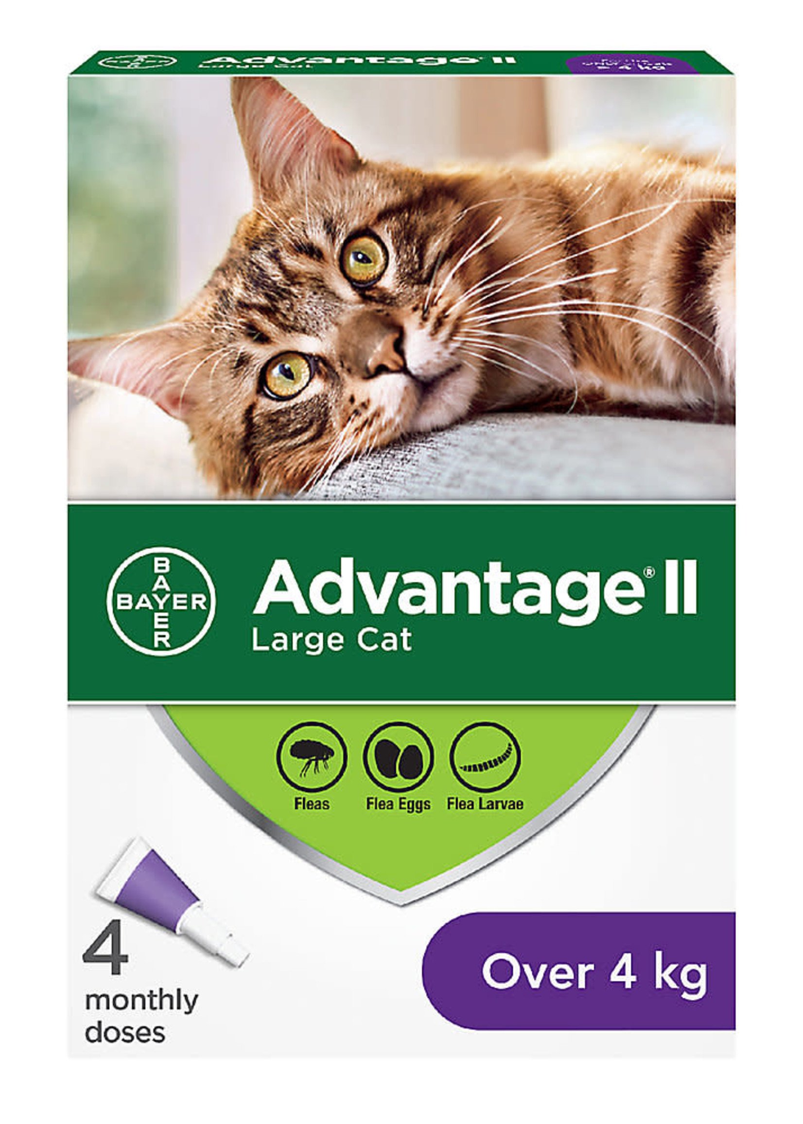 Bayer Advantage® II - Large Cat