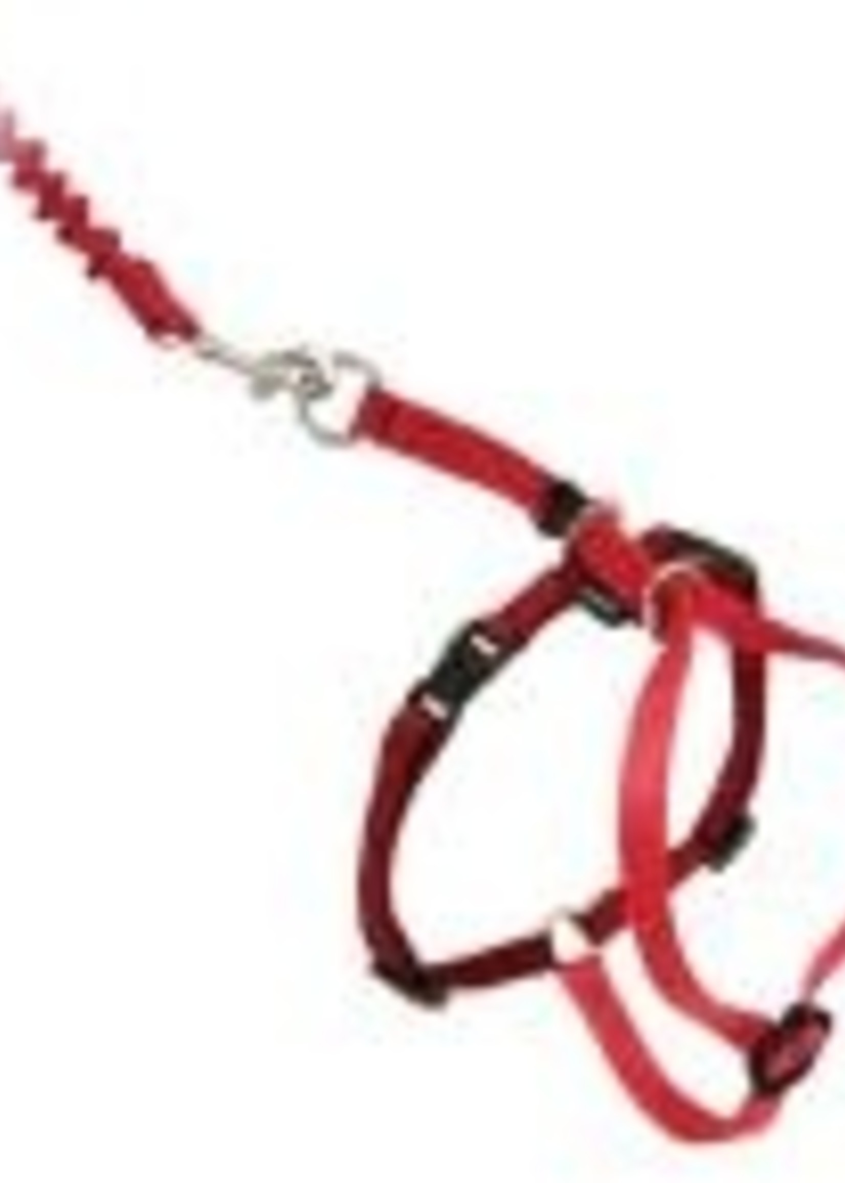 Come With Me Kitty™ Petsafe Come With Me Kitty Harness & Bungee Leash Medium