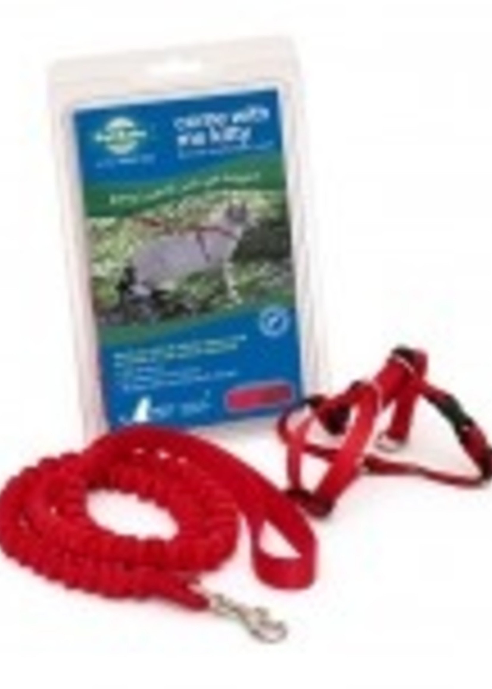 Come With Me Kitty™ Petsafe Come With Me Kitty Harness & Bungee Leash Medium