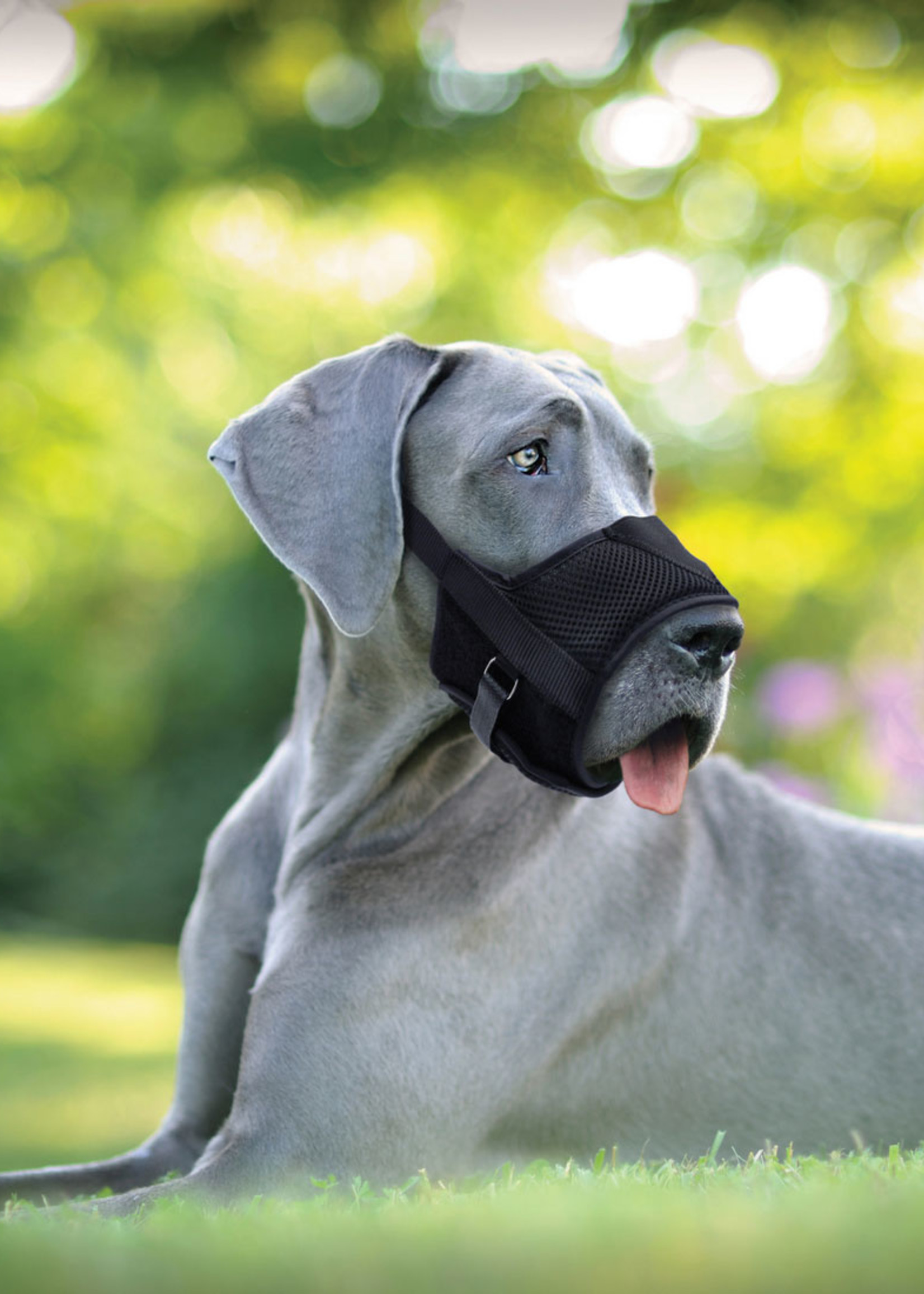 Best Fit® Best Fit® Adjustable Comfort Muzzle Small